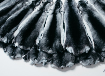 Выращивание шиншил и производство шиншиллового меха